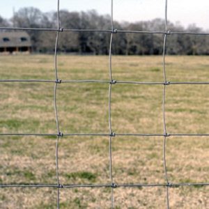 grid of sheep fence