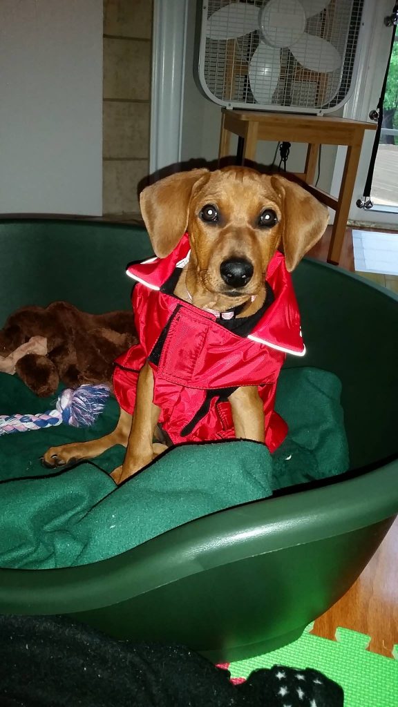 ayla in her raincoat