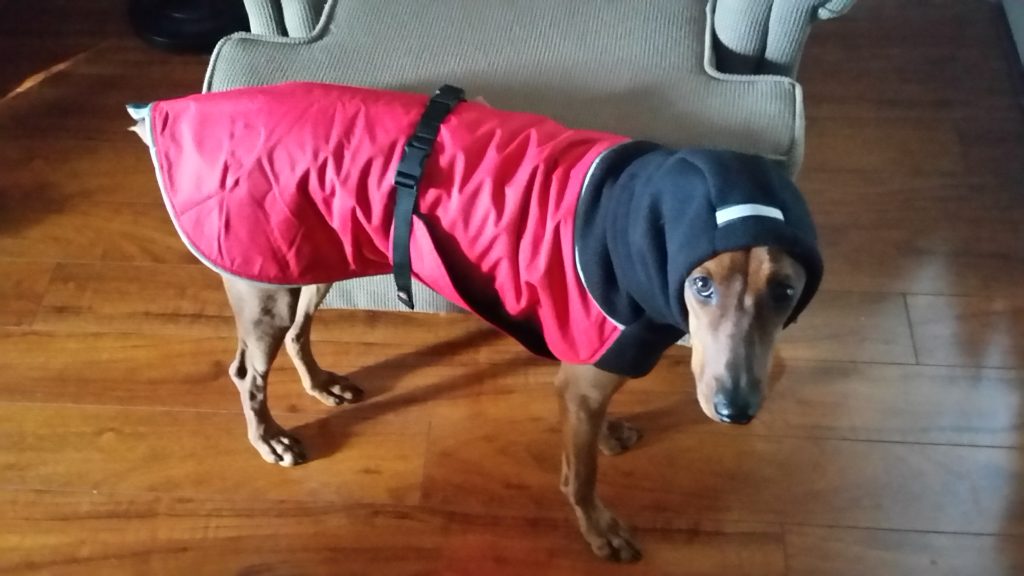 ayla in red winter coat and snood