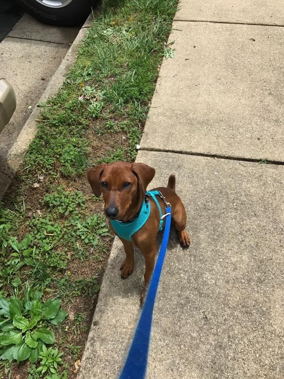 ayla sitting on sidewalk