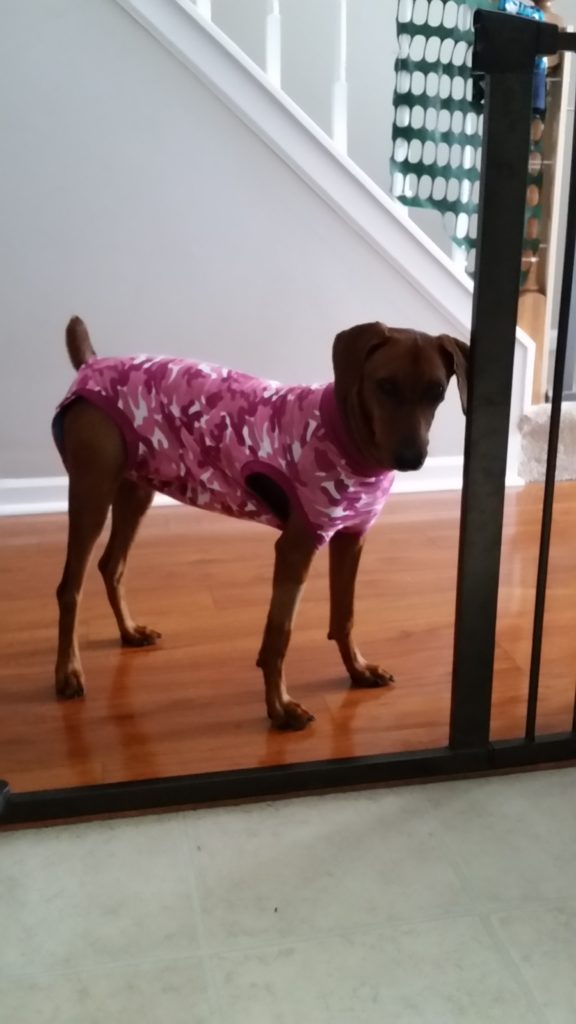 ayla wearing her pink camouflage suiticle